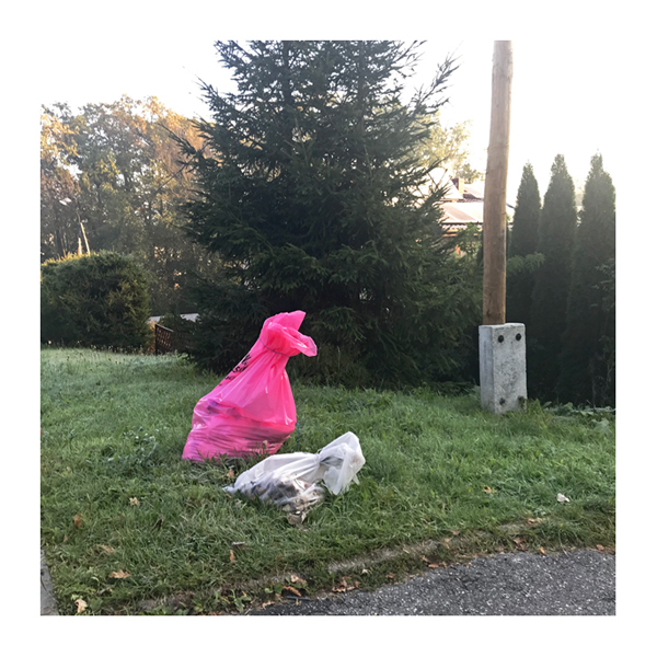 477 :: Mon